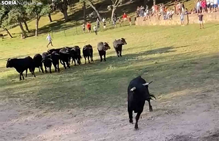 Así ha sido el rápido Lavalenguas matinal 