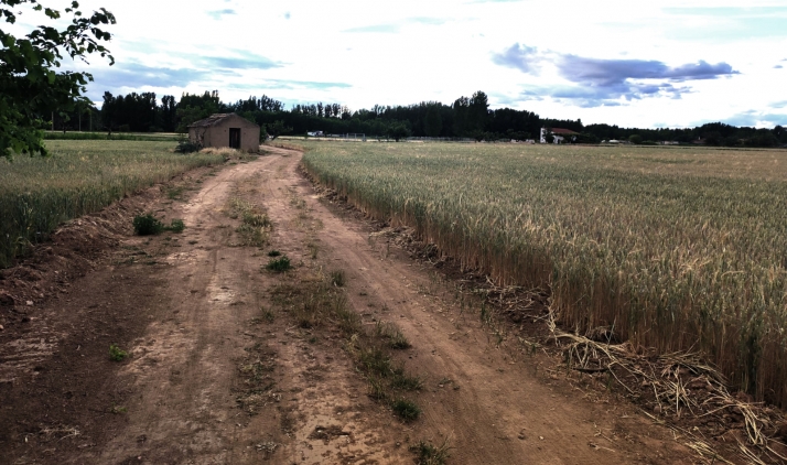 El Burgo pone en valor sus caminos rurales