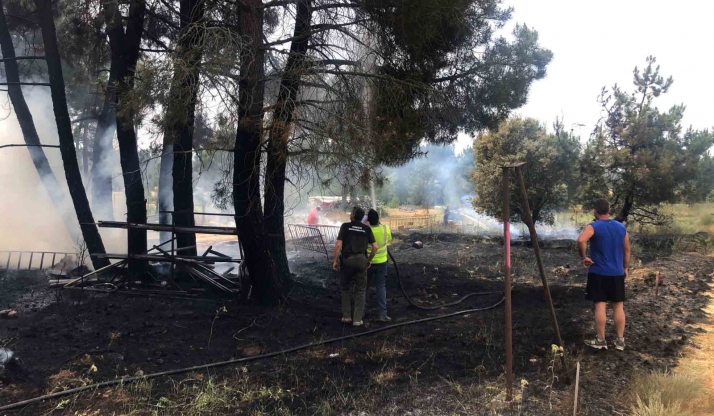 La rápida intervención en Quintana evita el incendio de un pinar cercano