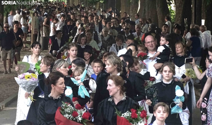 GALERÍA | Río de flores en Ágreda por Los Milagros