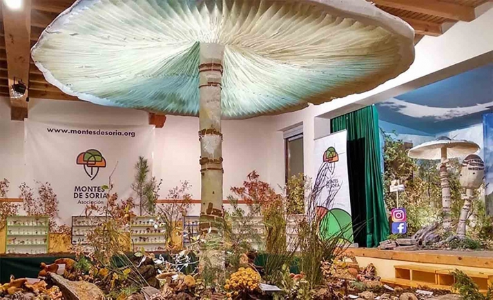 Vuelve la presencialidad a la Asamblea General de Montes de Soria 