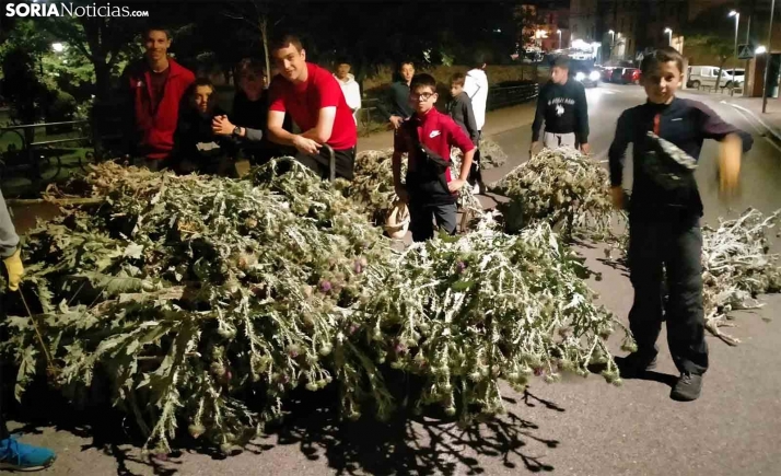 VIDEO | Cardos de verano en Ágreda
