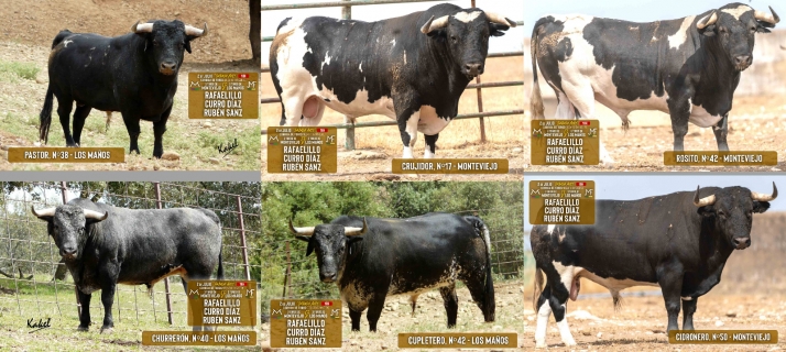 Estos son los toros para el Sábado Agés