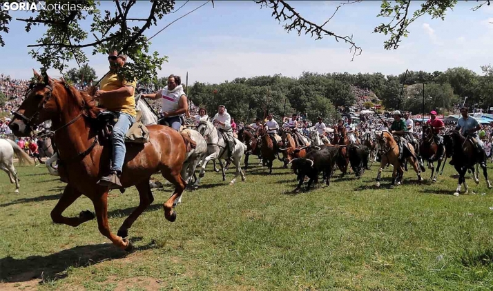 Estas son las normas para La Saca 2022