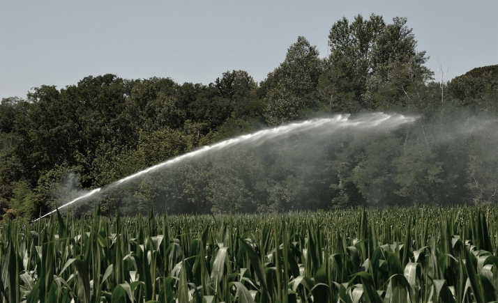 Castilla y León  apuesta por el regadío para garantizar la seguridad alimentaria 