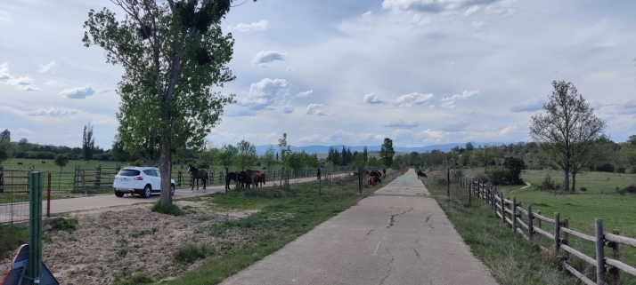 Dos personas ingresadas al ser embestidas por una vaca en Valonsadero