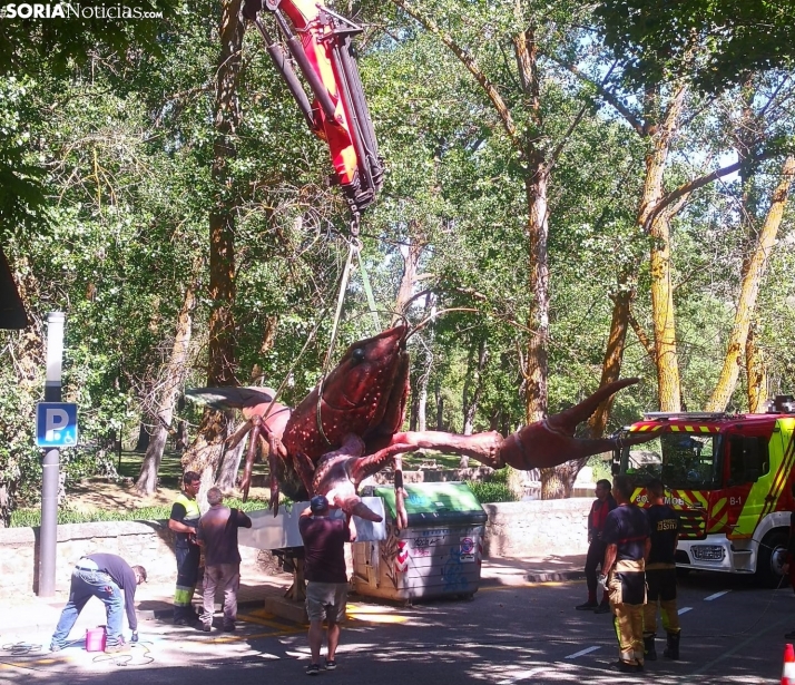 ¿Se marcha el cangrejo gigante del Duero?