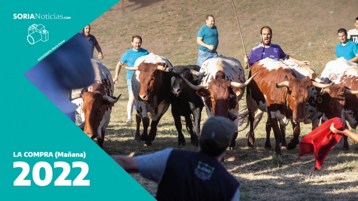 En imágenes: la Comprilla regresa a Valonsadero