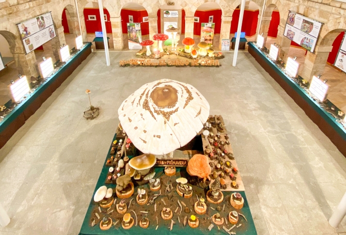 Soria también disfruta de las setas en verano: Villálvaro inicia el Mycological Summer Tour