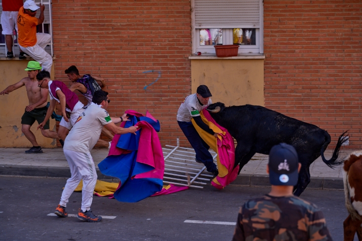 La Saca 2022, por Cirilo Vargas 