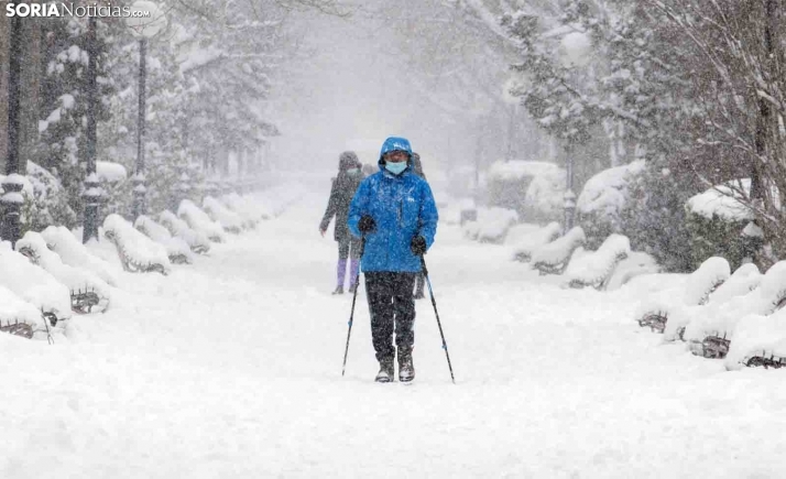 La Diputación trabajó para paliar los efectos Filomena sin detectar catástrofes en la red provincial