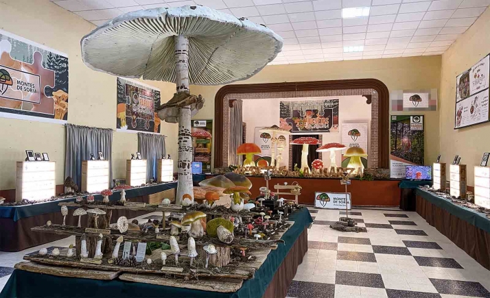 Vuelve el Mycological Summer Tour de Montes de Soria 