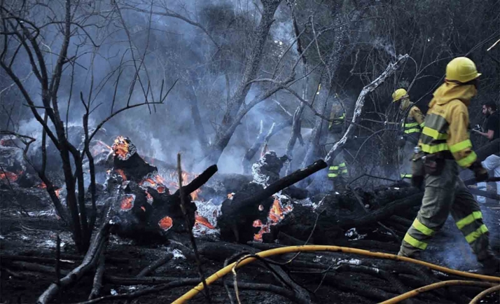 El cambio climático aumenta el riesgo de incendios forestales