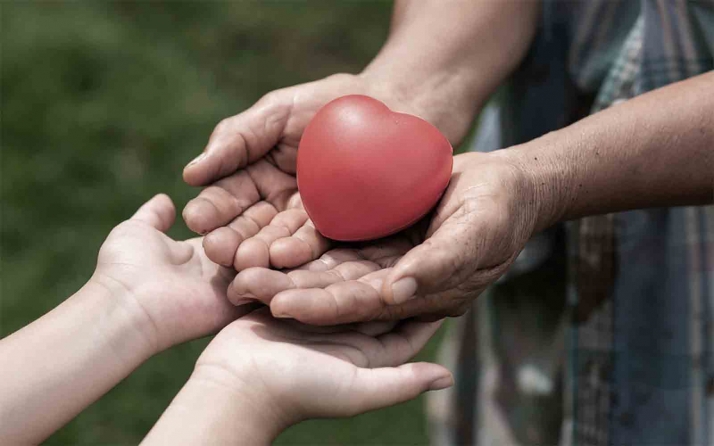 Castilla y León alcanza las 50 donaciones de órganos en el primer semestre