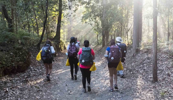 Castilla y León y Ecoembes desarrollan una nueva edición de ‘Camino del Reciclaje’ contra la ‘basuraleza’ en el Camino de Santiago