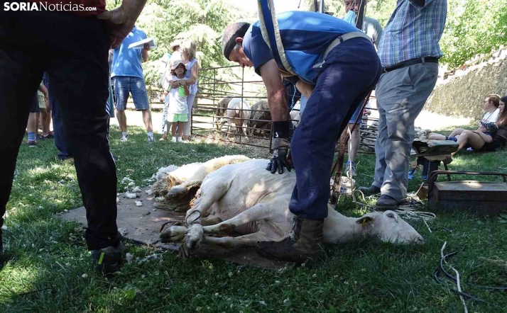 Nace Huella Trashumante para revitalizar el turismo