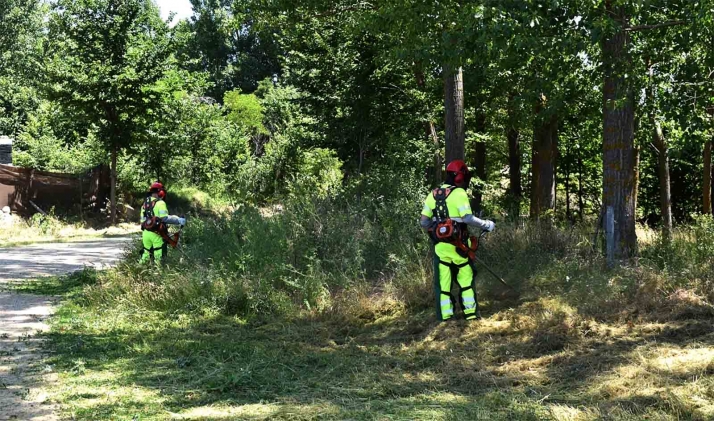 Los ayuntamientos tienen hasta el 22 para solicitar las brigadas forestales provinciales