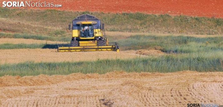 Disgusto en ASAJA Soria por la prohibición de cosechar a partir de este fin de semana