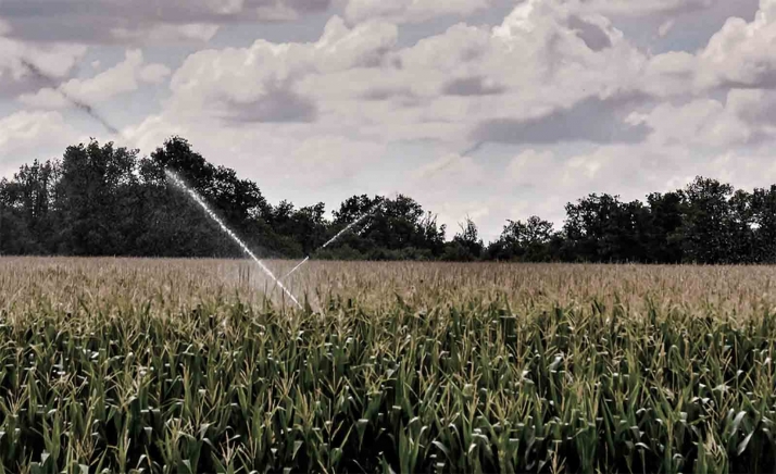 El Consejo Agrario de Castilla y León analiza los temas de actualidad en materia agraria y de desarrollo rural