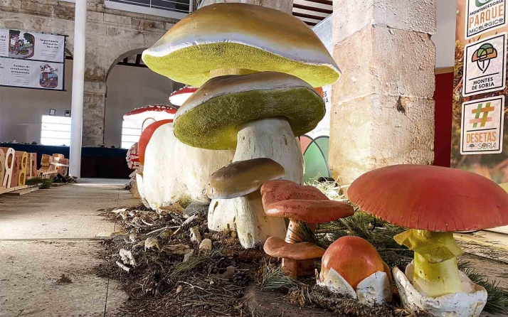Bayubas de Abajo acoge una nueva parada del Mycological Summer Tour de Montes de Soria