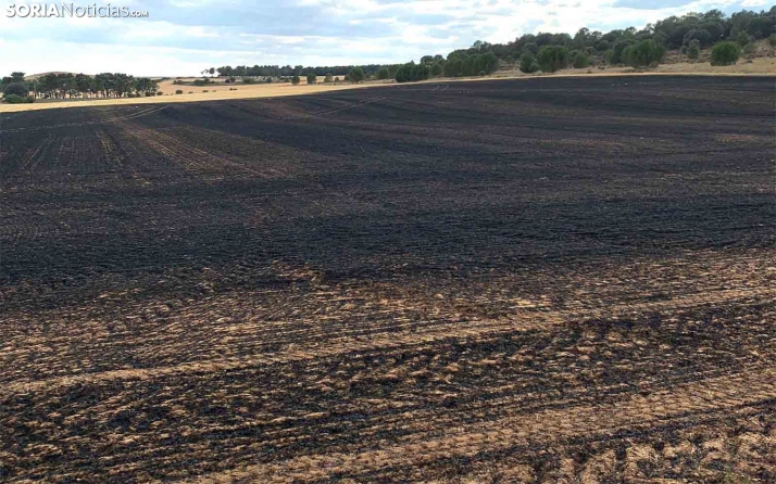 AMPLIACIÓN | Sofocado el incendio de Matute de Almazán