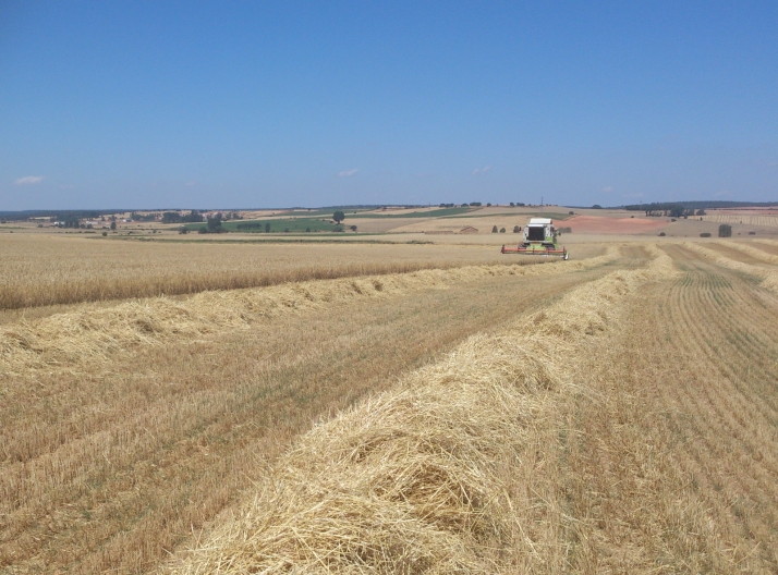 ASAJA Soria impugnará la resolución que prohibía la cosecha