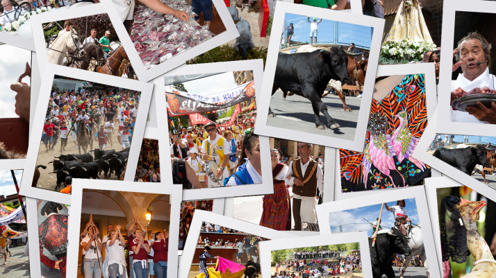 Revive las Fiestas de San Juan 2022: 2.500 fotos y una docena textos a modo de resumen