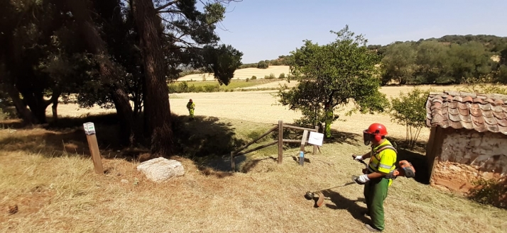 Las brigadas forestales de la provincia se centran en evitar incendios