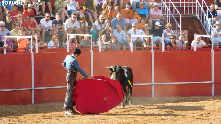 Fotos: desfile de peñas y novillos en el segundo día de fiestas en Berlanga
