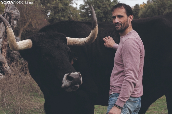Nueva experiencia turística: viajar la raza negra serrana soriana