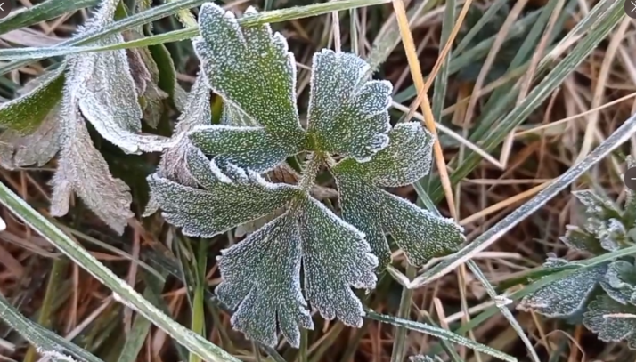 Primer escarchazo de un verano sofocante en Soria