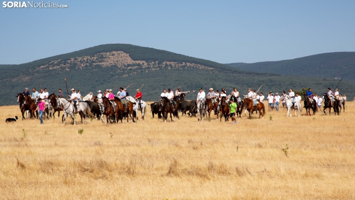 En imágenes: Gallinero revive sus orígenes en una jornada dedicada a la Trashumancia