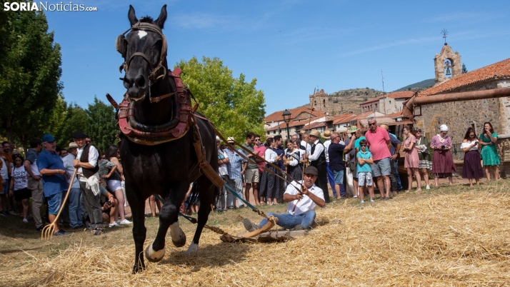 En imágenes: San Pedro recupera su Mercado Tradicional