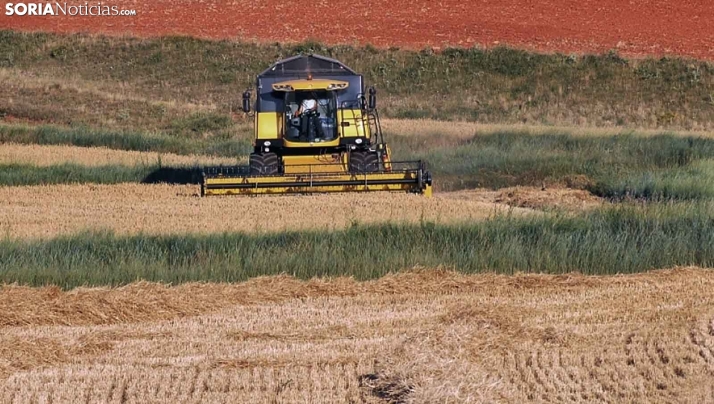 Impugnan la resolución que prohibía la cosecha
