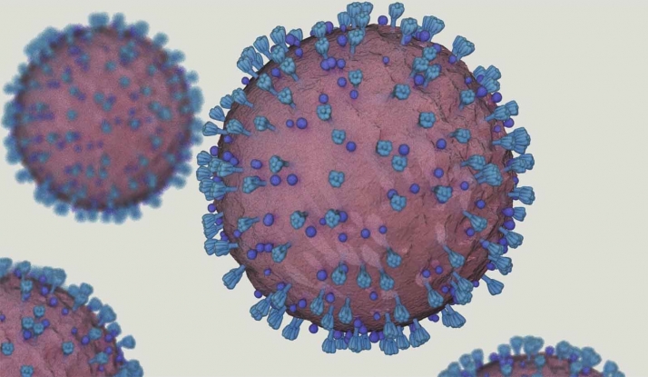 Hallan 11 nuevas regiones genéticas implicadas en la susceptibilidad y gravedad de la COVID-19