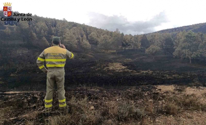 Las medidas económicas y sociales de la Junta llegan a los municipios afectados por los incendios forestales