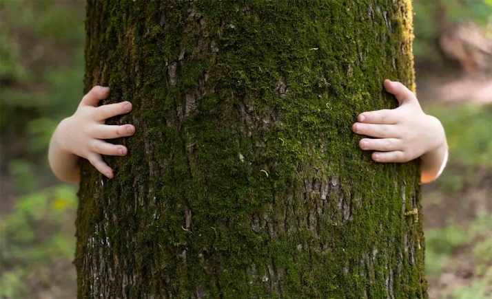 Diputación y Ayuntamiento de Soria recibirán, cada uno, 30.000 € de la Junta para programas y acciones de educación ambiental