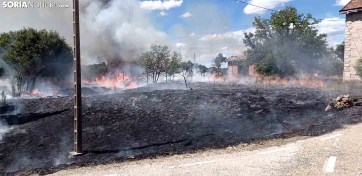 Arden 3.100 metros en Berlanga