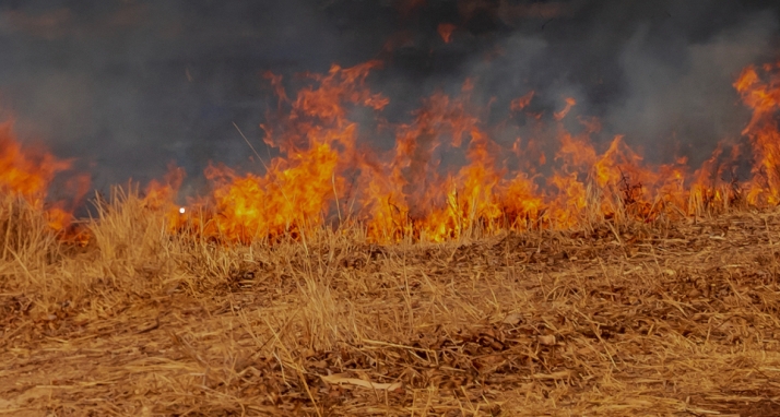 Arden cien metros en Matalebreras