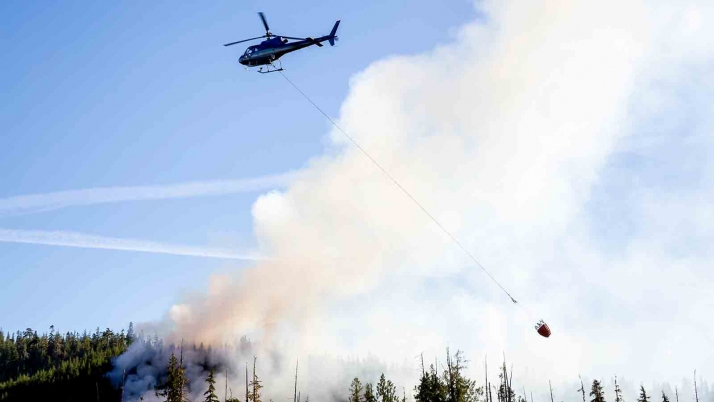 Amplio despliegue para controlar un incendio en Muñecas
