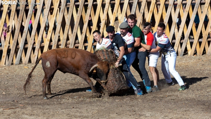 FOTOS: Vinuesa vuelve a torear en un festejo único en Soria
