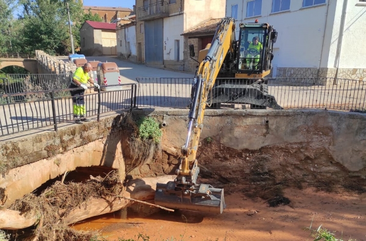 Retirado un olmo centenario del Barranco del Gato en Torlengua 