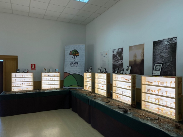 Beratón acoge el Mycological Summer Tour de Montes de Soria 