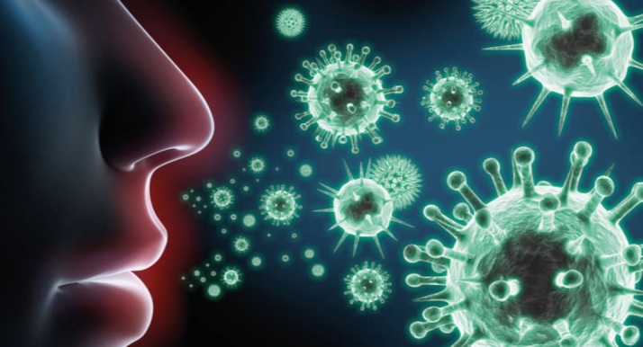 Las epidemias e infecciones del pasado, protagonistas de la Soria Salud 38