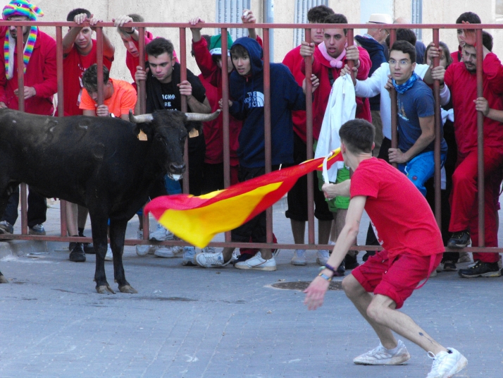 Galería: encierro, rejones y bajada de las peñas en Arcos de Jalón