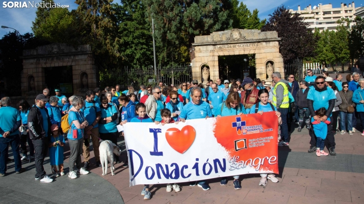 FOTOS: Pasos por la solidaridad y la vida en Soria