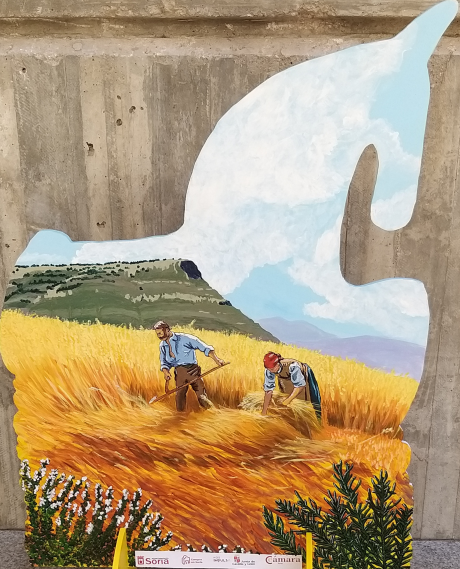 Descubre el ganador de la campaña Compra con el Caballito y elige tu favorito