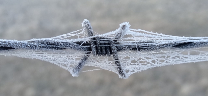 La primera helada del otoño en Soria no se hace esperar: Duruelo se ha congelado esta mañana