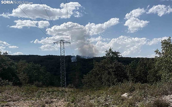 Arden 2.100 metros de robledal en Vozmediano