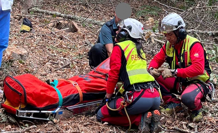 Auxiliado un herido cuando cortaba leña en León